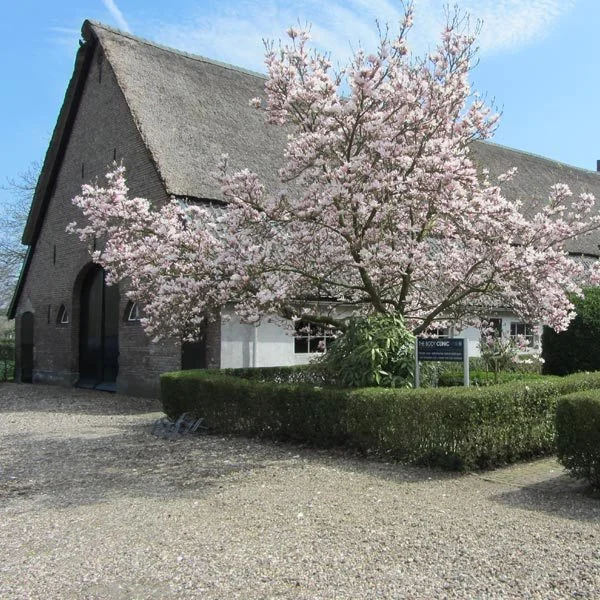 the body clinic kliniek locatie duiven